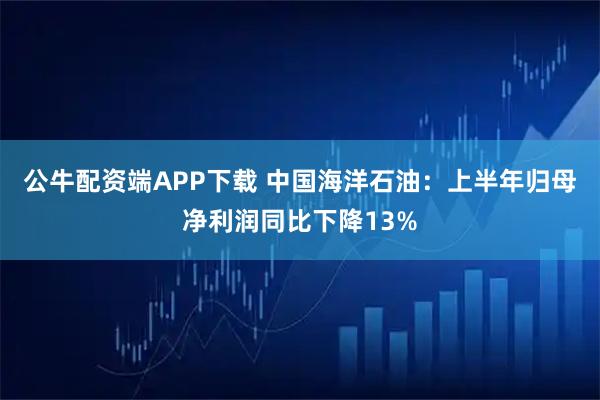 公牛配资端APP下载 中国海洋石油：上半年归母净利润同比下降13%