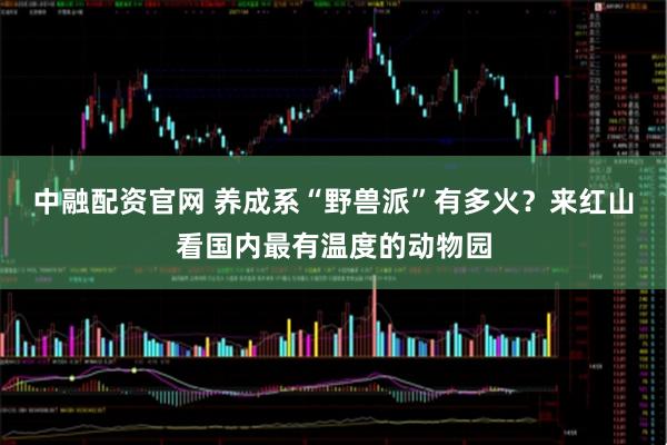 中融配资官网 养成系“野兽派”有多火？来红山看国内最有温度的动物园